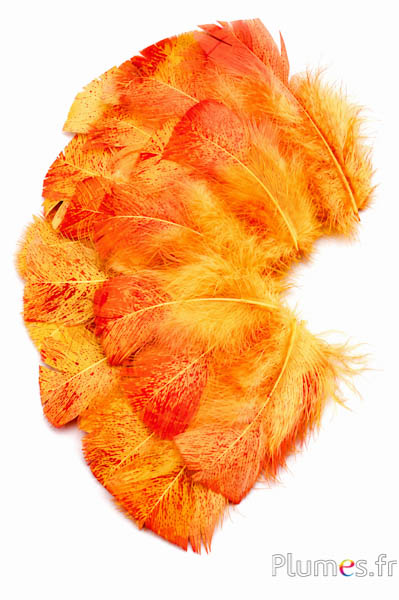 Tacchina maculata colore rosso - 6-8 cm - curry